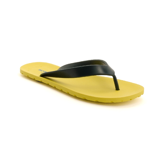 Flipper - Verde 56 + Blu 61